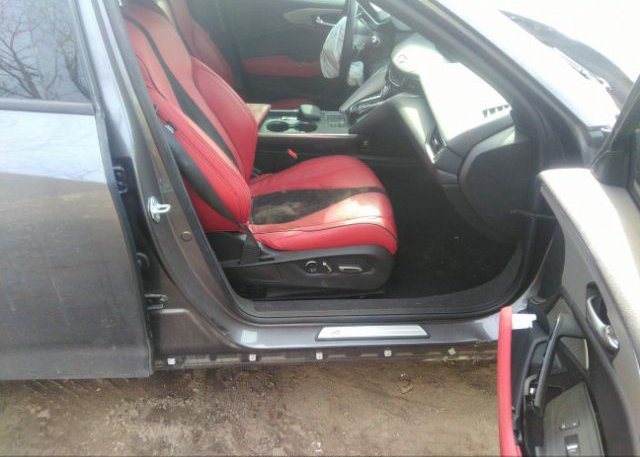 2021 ACURA TLX(VIN: 19UUB5F53MA008039