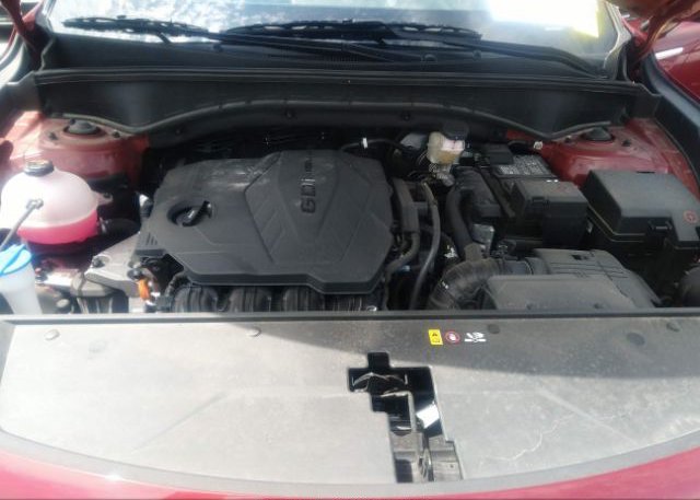 2023 KIA SORENTO(VIN: 5XYRG4LC1PG175510