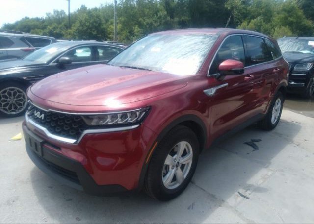 2023 KIA SORENTO(VIN: 5XYRG4LC1PG175510