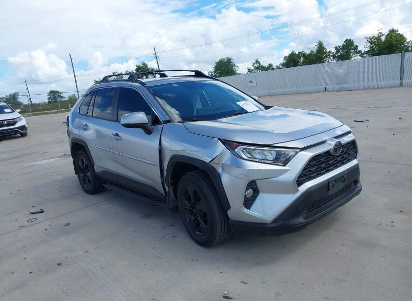 2019 TOYOTA RAV4 XLE photo