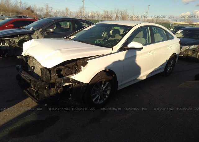 из сша 2019 HYUNDAI SONATA 5NPE24AF2KH731786