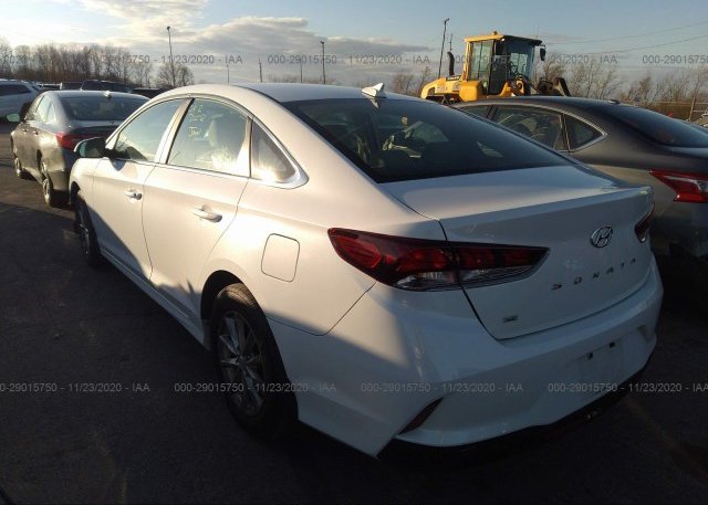купить 2019 HYUNDAI SONATA 5NPE24AF2KH731786
