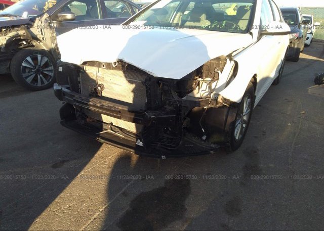 5NPE24AF2KH731786 2019 HYUNDAI SONATA