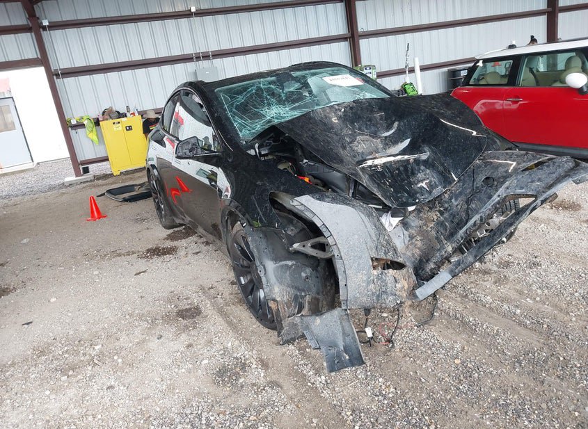 2023 Tesla Model Y EL (VIN: 7SAYGDEF1PF804874)