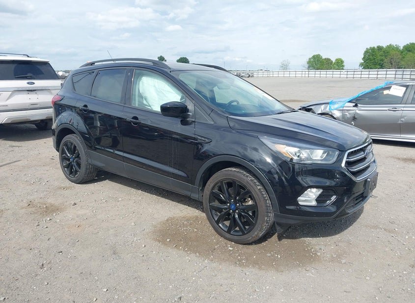 2019 Ford Escape 1.5L photo