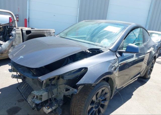 2021 TESLA MODEL Y(VIN: 5YJYGAEE2MF192537