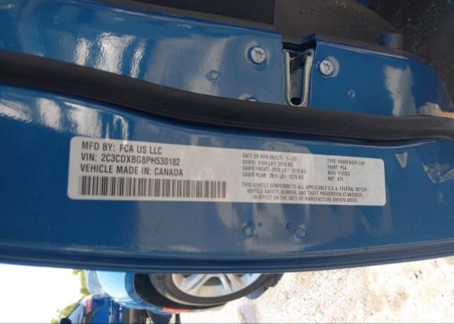 2023 DODGE CHARGER(VIN: 2C3CDXBG8PH530182