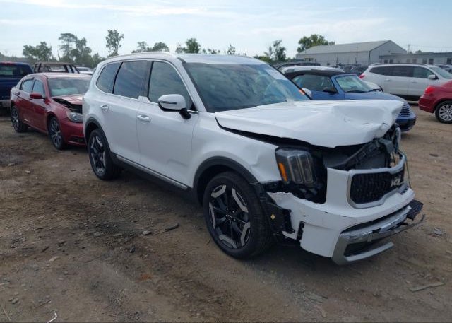 2023 KIA TELLURIDE (VIN: 5XYP3DGC0PG356515)