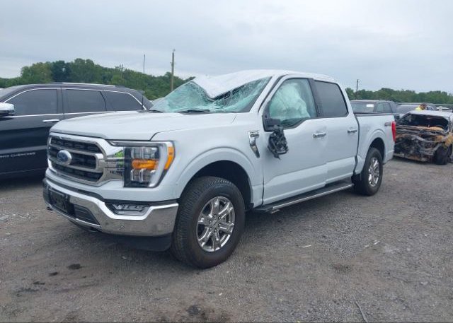 2022 FORD F-150(VIN: 1FTEW1EP0NKD06448