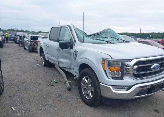 2022 FORD F-150(VIN: 1FTEW1EP0NKD06448