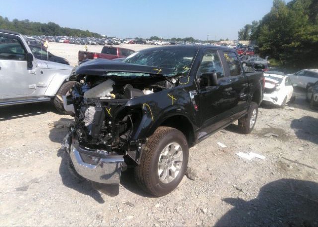 2023 FORD F-150(VIN: 1FTFW1E50PFC05943