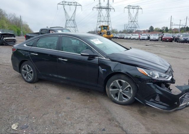 KMHE14L27KA092613 2019 HYUNDAI SONATA PLUG-IN HYBRID