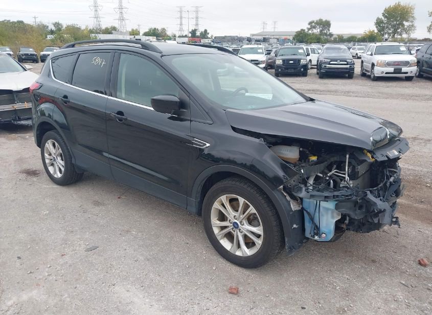 2019 FORD ESCAPE SEL photo