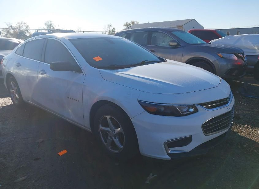 2017 CHEVROLET MALIBU 1FL photo