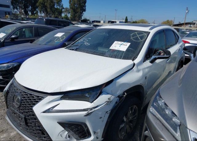 2021 LEXUS NX(VIN: JTJSARBZ8M5021691