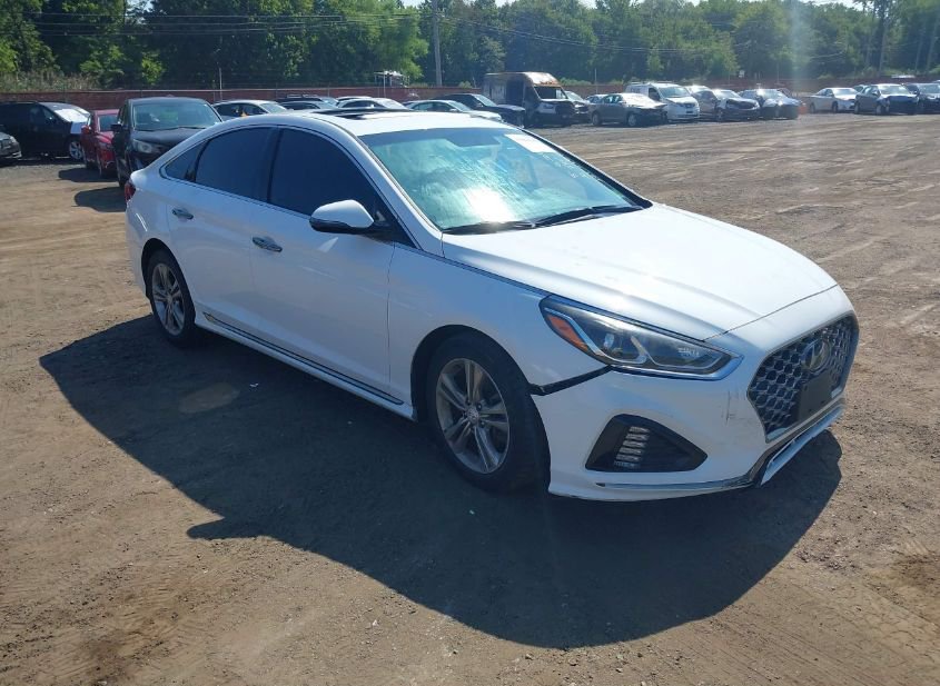 2019 HYUNDAI SONATA SPORT photo