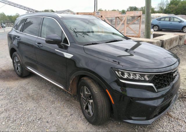 KNDRH4LG4P5205494 2023 KIA SORENTO HYBRID