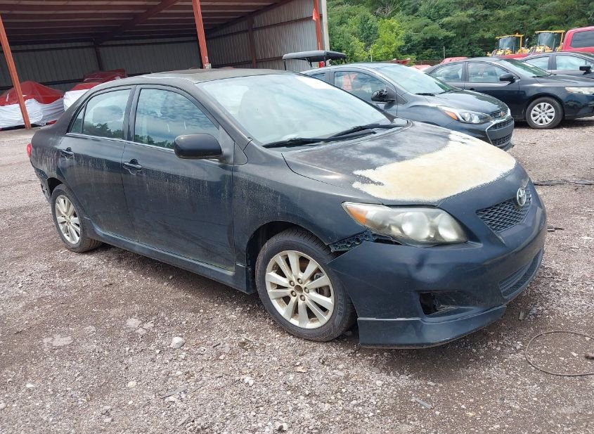2010 TOYOTA COROLLA S photo