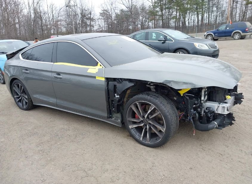 2023 AUDI S5 SPORTBACK PREMIUM PLUS TFSI QUATTRO TIPTRONIC photo