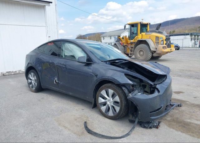 2023 TESLA MODEL Y (VIN: 7SAYGDEE8PA051719)