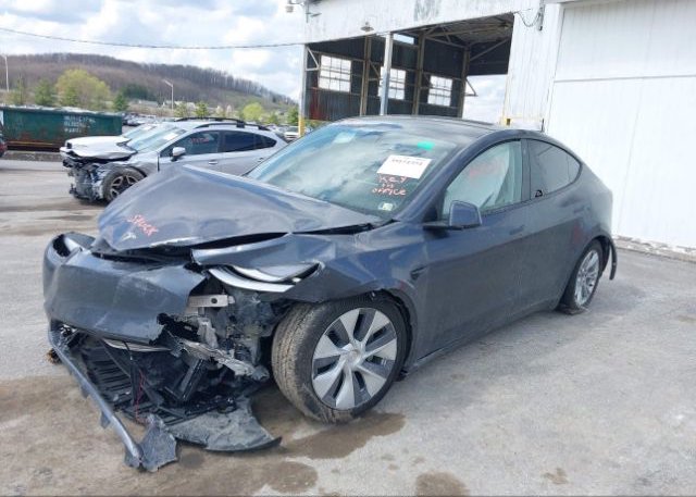 2023 TESLA MODEL Y(VIN: 7SAYGDEE8PA051719