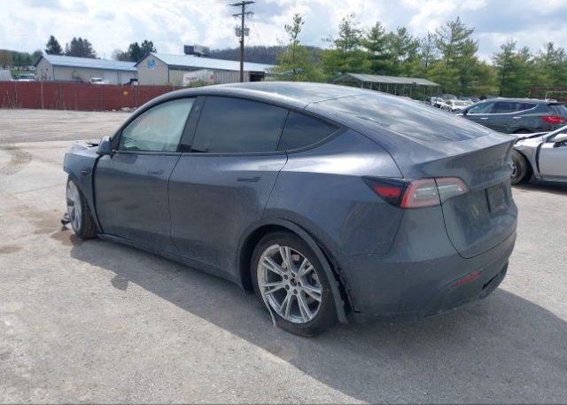 2023 TESLA MODEL Y(VIN: 7SAYGDEE8PA051719