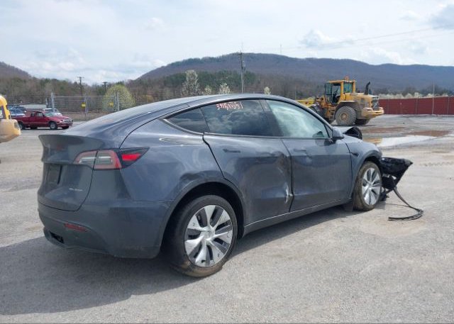 2023 TESLA MODEL Y(VIN: 7SAYGDEE8PA051719