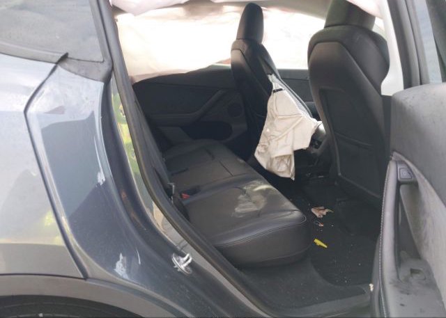 2023 TESLA MODEL Y(VIN: 7SAYGDEE8PA051719