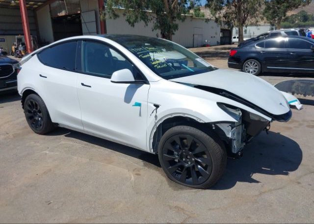 2023 TESLA MODEL Y (VIN: 7SAYGDEE5PA057865)