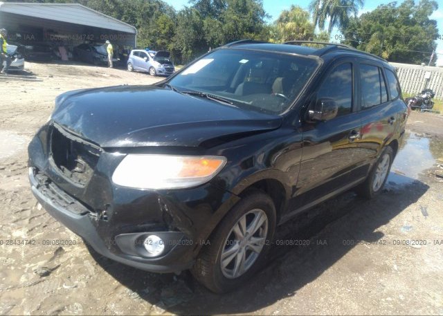 из сша 2011 HYUNDAI SANTA FE 5XYZK4AG3BG091279
