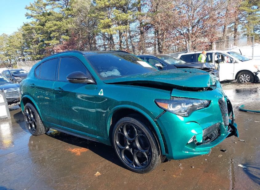 2024 ALFA ROMEO STELVIO QUADRIFOGLIO CARBON AWD photo