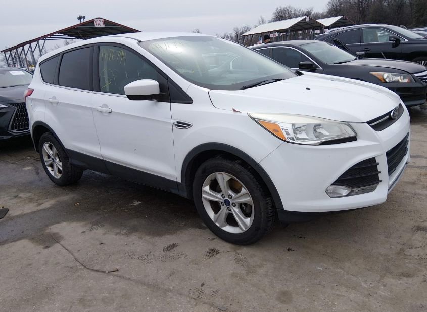 2014 Ford Escape 2.0L photo