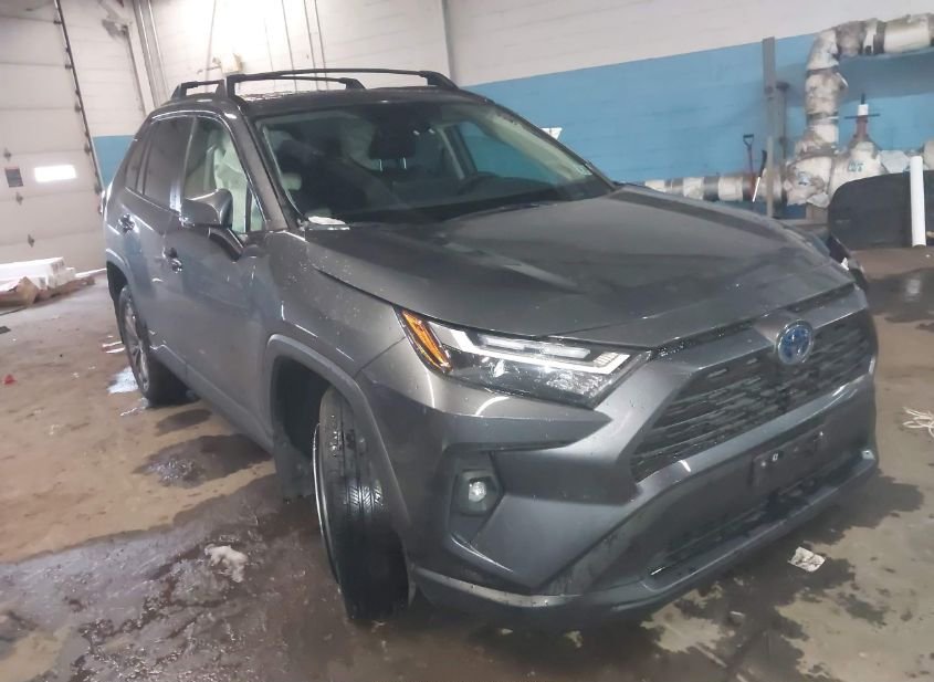 2024 TOYOTA RAV4 HYBRID XLE PREMIUM photo