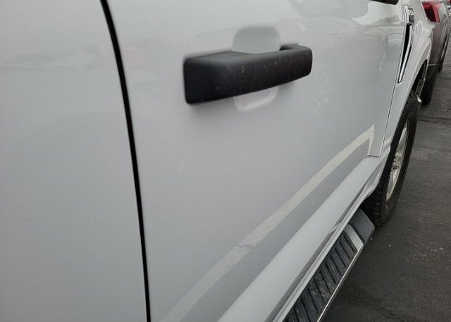 2021 FORD F-150 (VIN: 1FTFW1E86MKD05302)