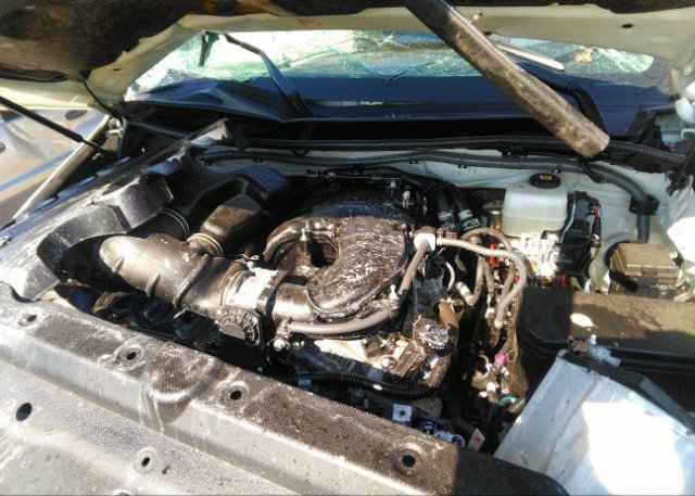 2023 TOYOTA 4RUNNER(VIN: JTEMU5JR5P6131847