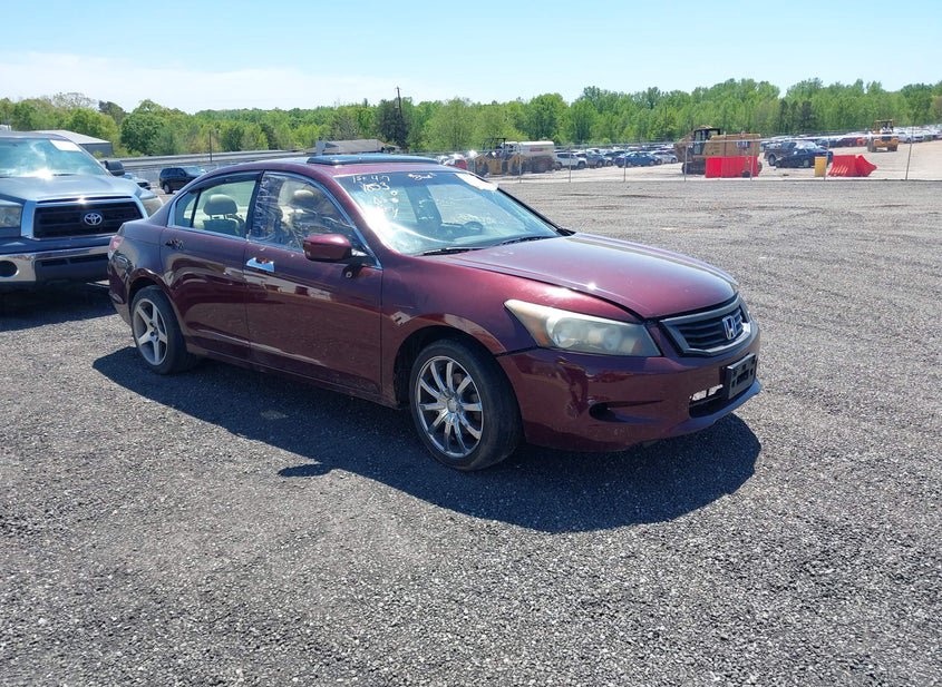 2009 Honda Accord 3.5L photo
