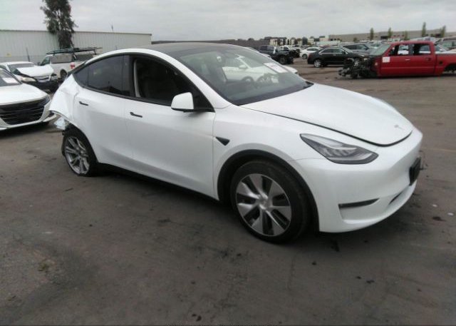 2021 TESLA MODEL Y (VIN: 5YJYGDEE5MF281536)