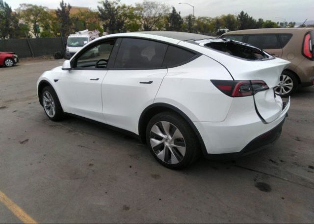 2021 TESLA MODEL Y(VIN: 5YJYGDEE5MF281536