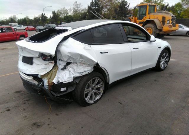 2021 TESLA MODEL Y(VIN: 5YJYGDEE5MF281536
