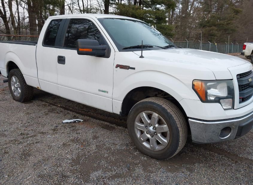 2011 FORD F-150 XLT photo