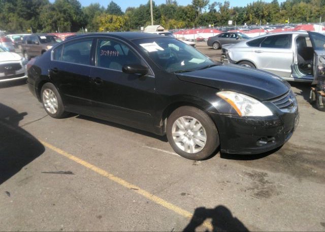 2010 NISSAN ALTIMA photo