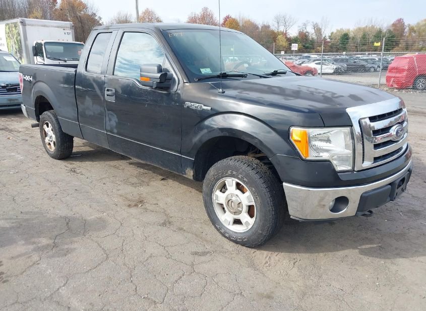 2011 FORD F-150 XLT photo
