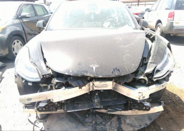 2022 TESLA MODEL 3(VIN: 5YJ3E1EB1NF331743