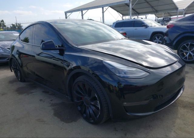 2022 TESLA MODEL Y (VIN: 7SAYGDEF6NF492953)