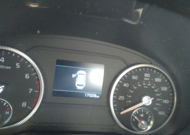 2022 KIA TELLURIDE(VIN: 5XYP3DHC1NG229879