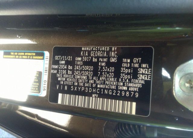 2022 KIA TELLURIDE(VIN: 5XYP3DHC1NG229879
