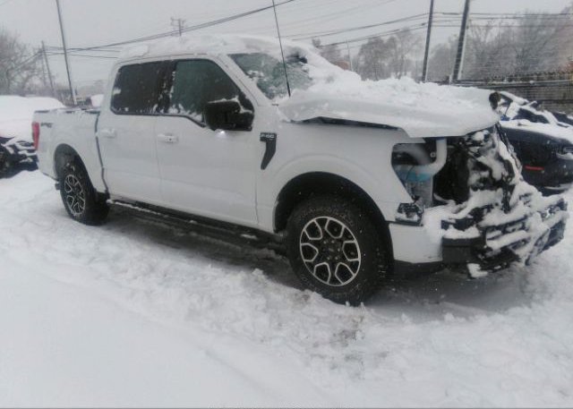 2021 FORD F-150 (VIN: 1FTEW1EP1MKE53120)