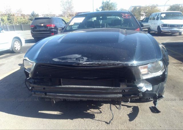 1ZVBP8AM1B5125810 2011 FORD MUSTANG