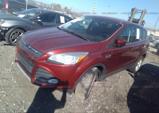 из сша 2014 FORD ESCAPE 1FMCU9GX9EUA42638
