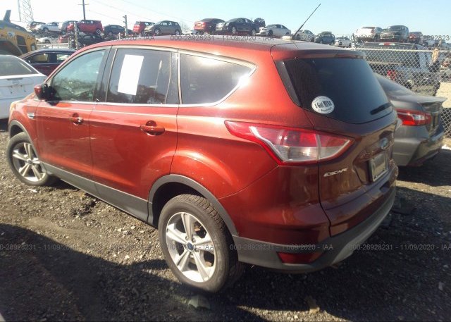 купить 2014 FORD ESCAPE 1FMCU9GX9EUA42638